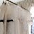New Brand 「HONOR」/ New York bridal fashion week 2024aw